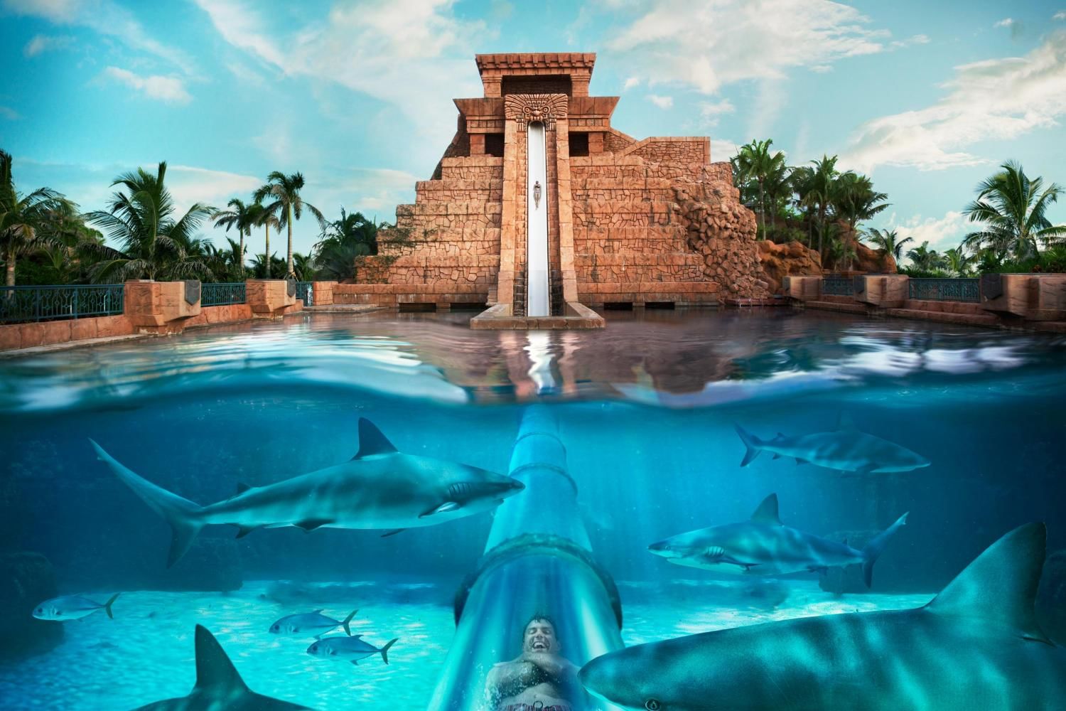Atlantis Aquaventure with Lost Chamber Ticket with Daytur