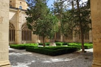 Segovia and Avila Private Tour with Lunch and Hotel Pick up from Madrid  10