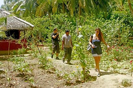 Authentic Dambulla Village Tour with Traditional Lunch & Activities