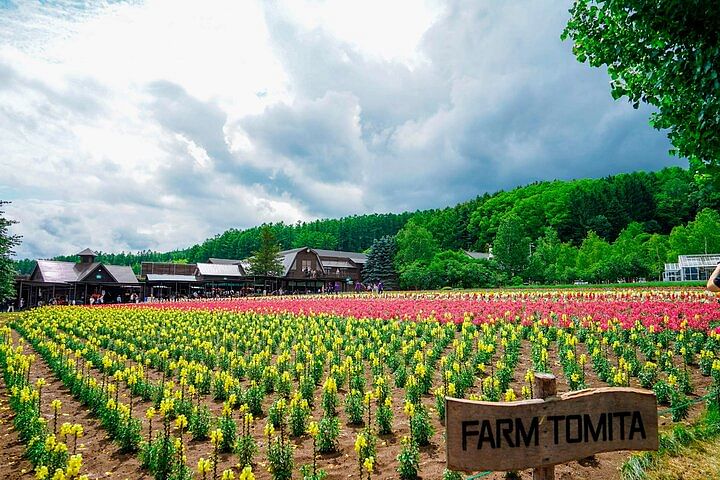 Hokkaido: Biei Blue Pond and Furano Flower Farm Day Trip