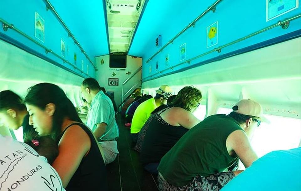 Glass Bottom Boat Tour and Wildlife Experience in West Bay