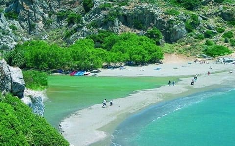 Full-Day Tour to Preveli Palm Beach from Rethimno