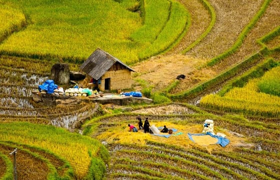 Sapa Villages And Homestay Hard Trekking 2days, 1night trip, meals, Tour guide,