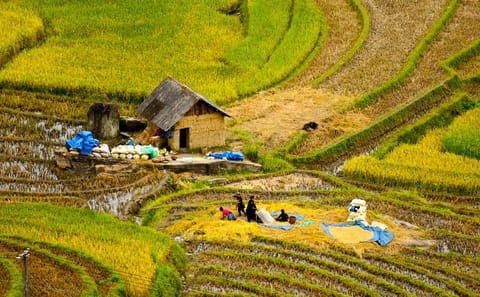 Two-Day Hard Trekking and Homestay Tour in Sapa, Vietnam