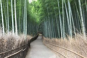 Full-Day Private Guided Tour in Kyoto, Arashiyama: Temple and Nature
