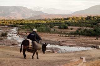1 Day Talataste Zat Valley & British Moroccan Society Educational Centre | Private & Luxury