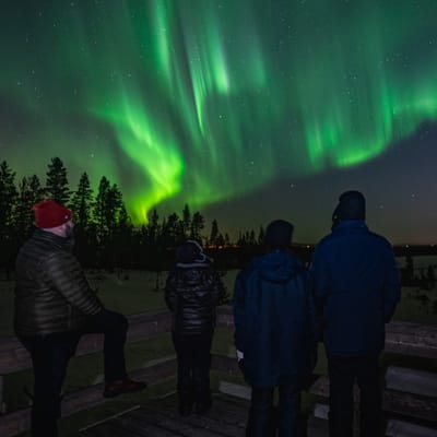 Watching the Northern Lights from a campfire on a reindeer pasture in Rovaniemi - Image 12