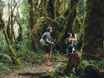 2 Day Mount Kilimanjaro Hikes