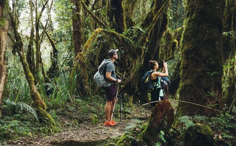 2 Day Mount Kilimanjaro Hikes