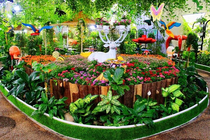  Dubai Butterfly Garden Admission Ticket 9