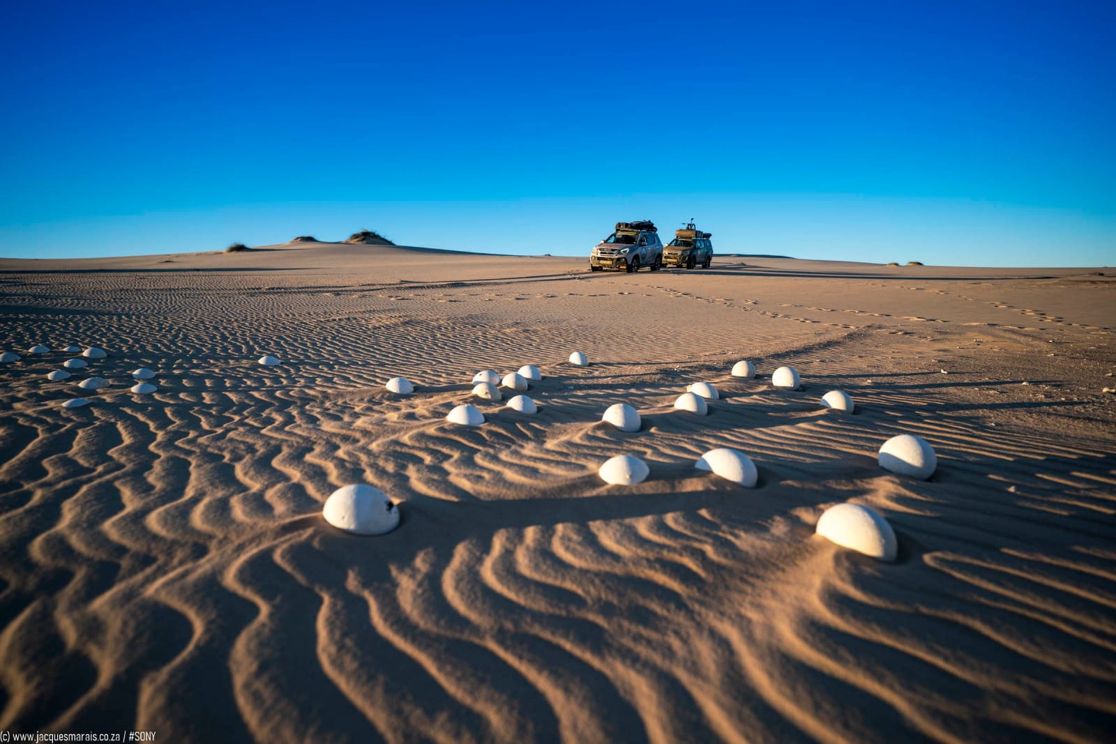 Chasing African Light. Cape Town. Guided