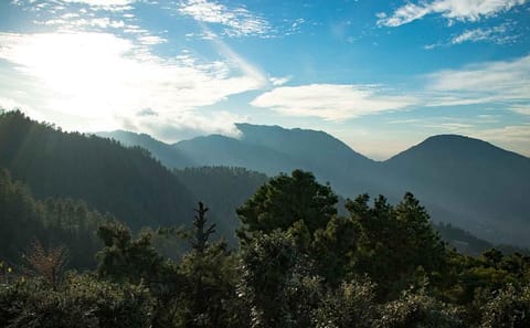 Daman Hill Day Tour from Kathmandu with Lunch and Guide