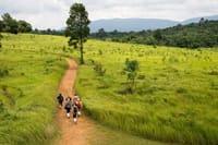 UNESCO Khao Yai National Park Adventure: Hiking & Waterfalls 8