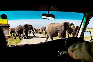 2-Day Amboseli National Park Safari- Daily Departures