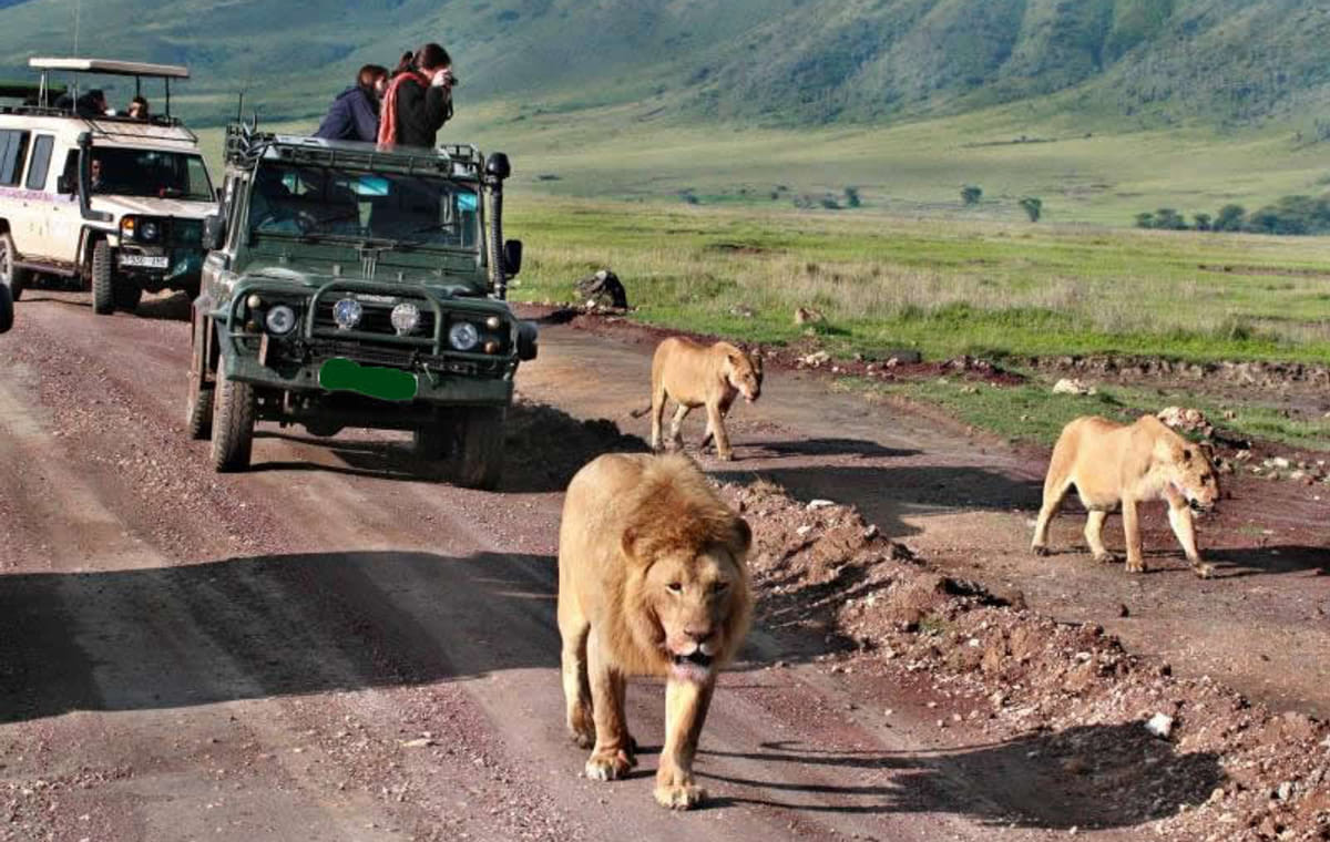 12Days Best of Kenya and Tanzania Wildlife Safari