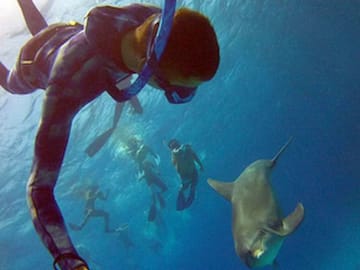 Often visited by wild dolphins and schools of colorful fish