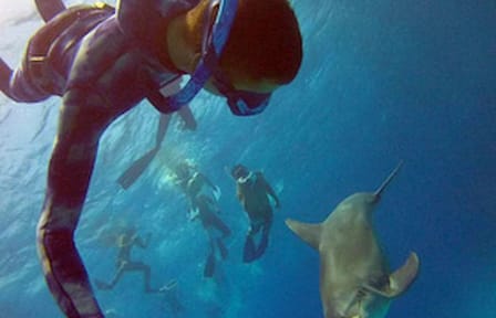 Full-Day Snorkeling Adventure in Hurghada, Egypt
