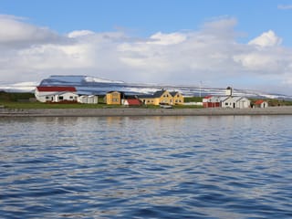 A cluster of brightly coloured buildings reflected in the water and the snow-covered mountainsides of the fjord visible beyond