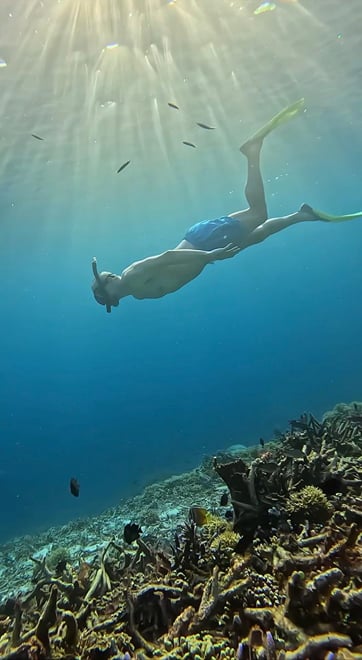 COMBAIN PACKAGES - JAVA & KOMODO TOUR EXPERIENCE