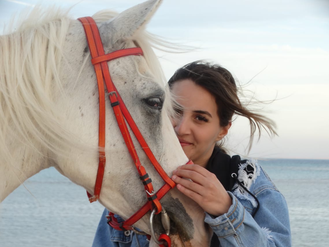 Premium 1 Hour Elite Desert Horseback Riding Adventure - Hurghada 7