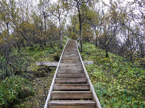 From Reykjavik Thorsmork 4x4 Day Tour , photo 9