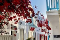 Private Tour Of Mykonos For First Time Visitors All Highlights 8