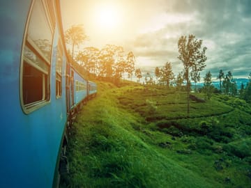 Seven-Day Adventure Tour in Colombo, Sri Lanka