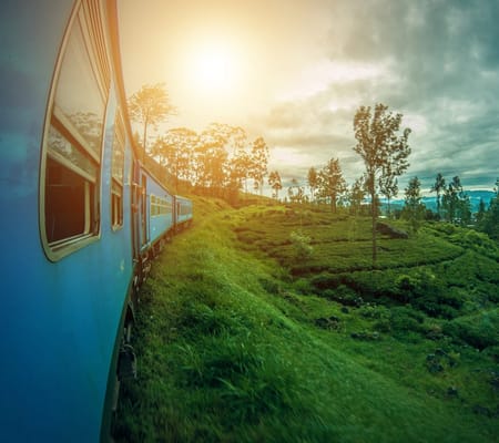 01 Week Tour In Sri Lanka