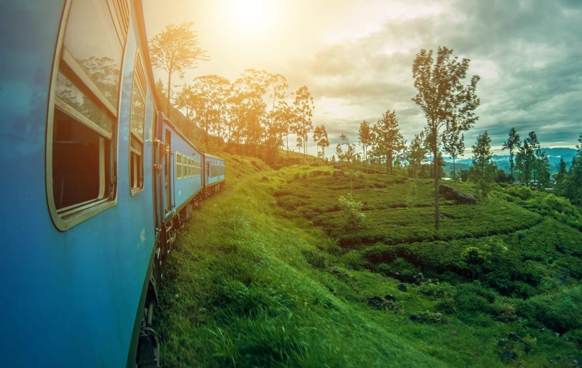 01 Week Tour In Sri Lanka