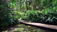 Nadi Sightseeing & Mud Pool Tour - Ex Fiji Marriott, Momi Bay