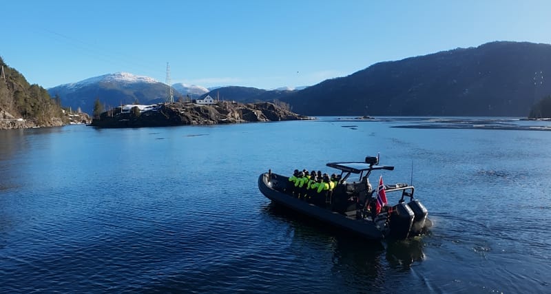 Mostraumen Fjord Safari - by Premium RIB Boat