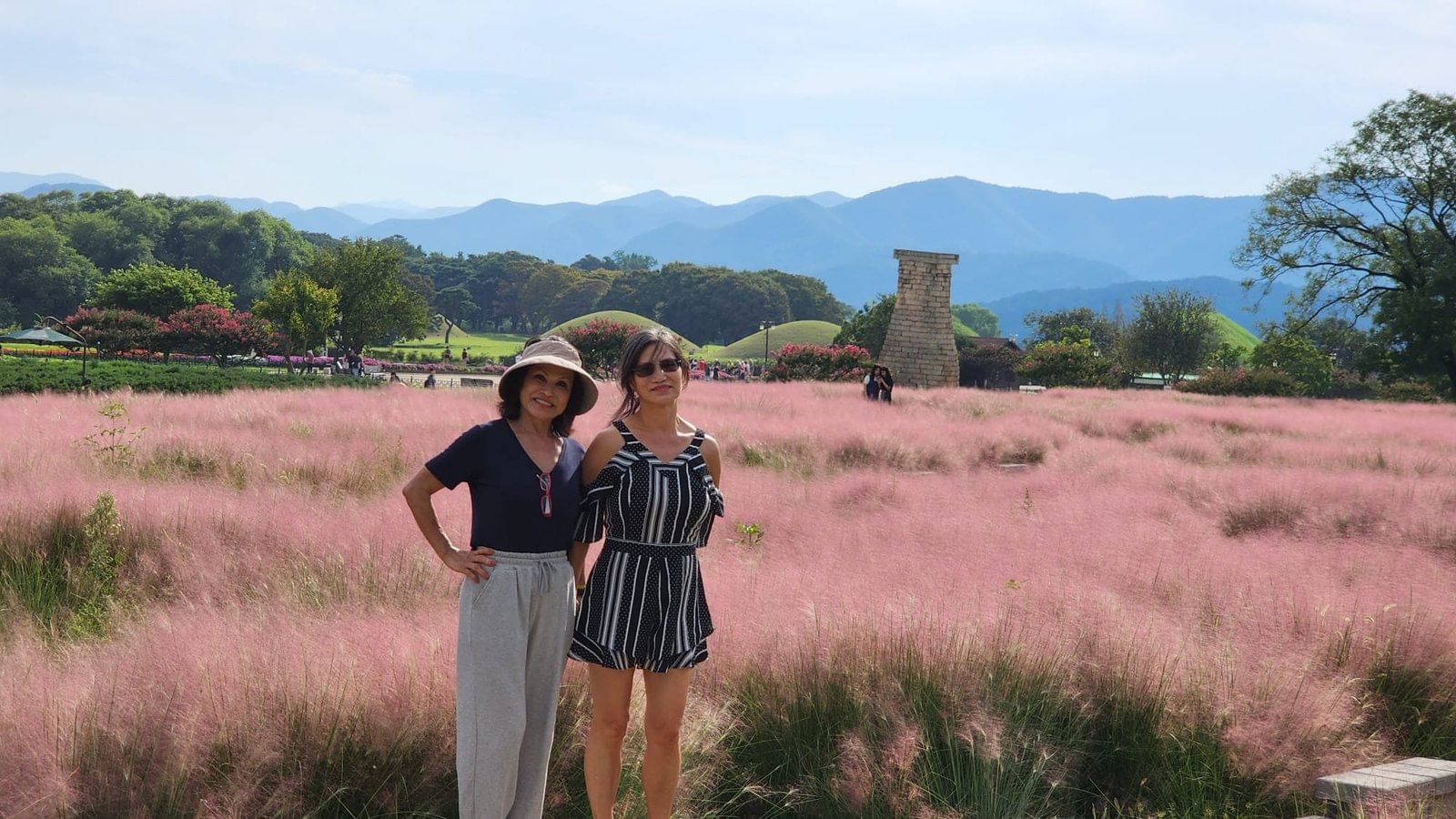 Pink muhly grass blooming near the ancient Cheomseongdae stone observatory.