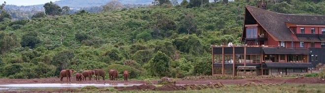 4-Day Nairobi & Aberdare National Park Safari photo 4
