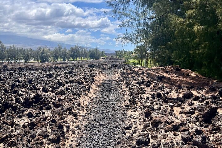 Kona Port: Private History & Farmer’s Market Excursion