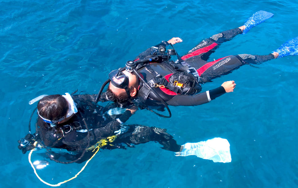 PADI -Search -Recovery -Diver -Specialty