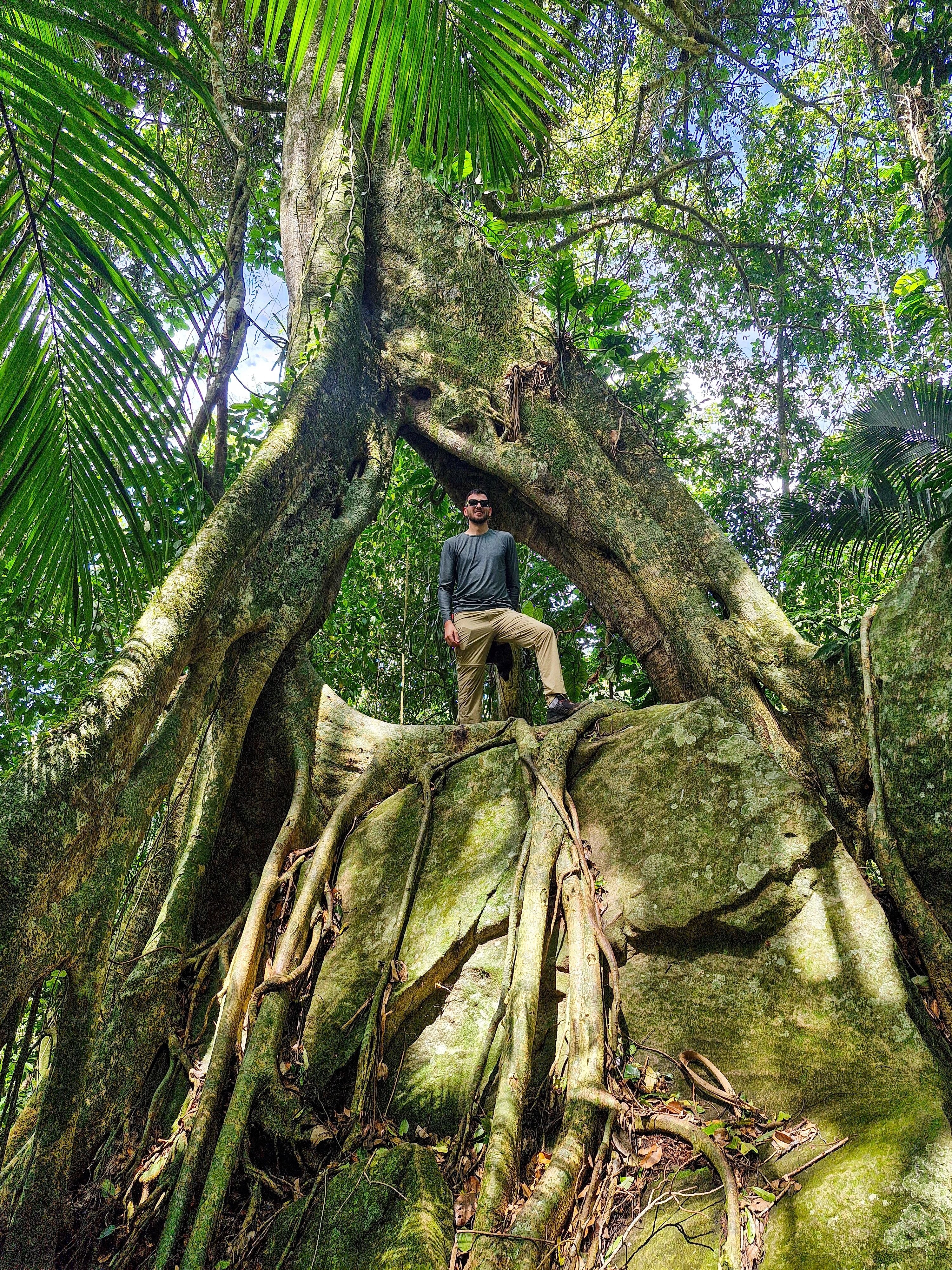Day hike Praia do Sono: 3 Beaches & Waterfall in Juatinga Reserve