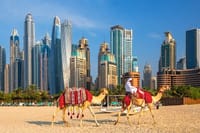 Private Dubai Layover Tour: Explore Top City Highlights 8