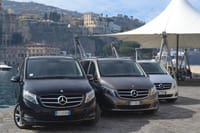 Private Transfer: Naples Hotel, Airport,Train Station to Sorrento 3