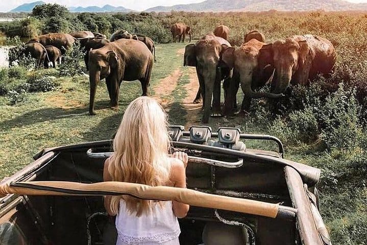 Kandy & Nuwara Eliya | 2 Days Tour