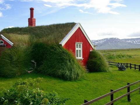 West Coast of Iceland Private Tour, photo 4