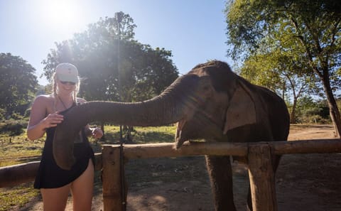 Half-Day River Tubing and Ethical Elephant Feeding in Chiang Mai