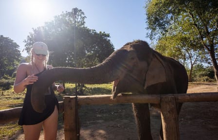 Half-Day River Tubing and Ethical Elephant Feeding in Chiang Mai
