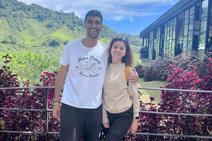 Cameron Highlands Day Tour from Ipoh with lavender garden and tea plantation