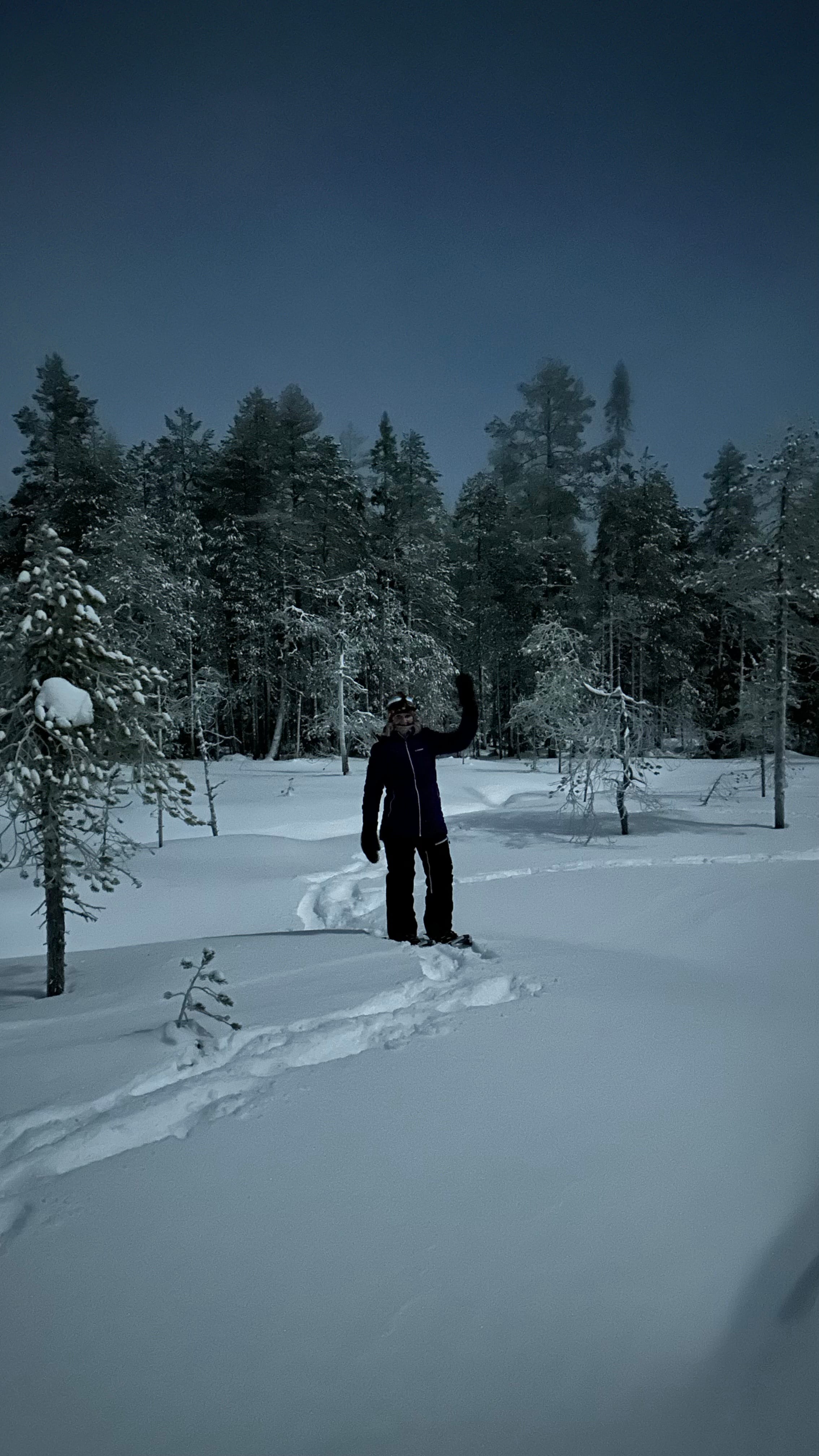Lapland snowshoe hiker — Snowshoeing in snowy Rovaniemi forest with aurora.