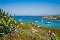 Full-Day Private Trip of Saint Tropez from Antibes  1