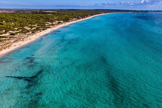 Mallorca Es Trenc Beach Day Tour with Hotel Pick up 10
