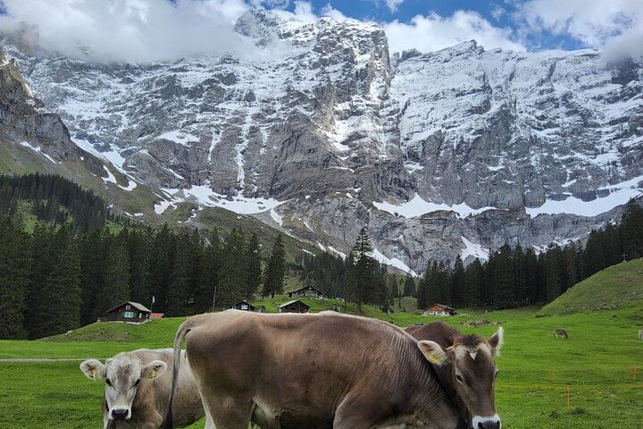 4 Day Trekking Tour Swiss Magic Through the Alps