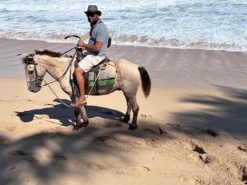 Travel uncharted trails and enjoy this equine adventure along the most beautiful beaches of Punta Cana!