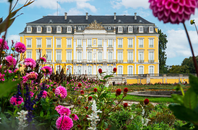 Bonn in 1 Day - Walking Tour - Audioguide in 7 languages photo 2