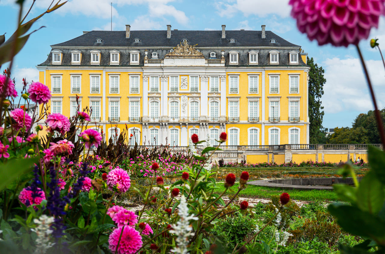 Bonn in 1 Day - Walking Tour - Audioguide in 7 languages 2
